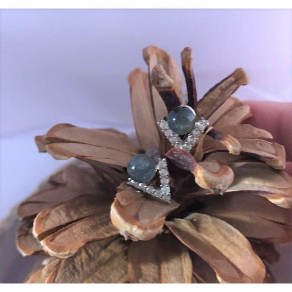 Labradorite Earrings